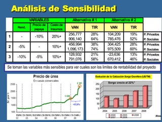 Rend.
Precio de
papaya
Costo de
Insumos VAN TIR VAN TIR
256,777
906,140
28%
64%
104,209
785,476
19%
52%
P. Privados
P. Sociales
456,994
1,096,173
38%
74%
304,425
975,509
28%
60%
P. Privados
P. Sociales
128,932
791,076
21%
58%
-23,636
670,412
13%
46%
P. Privados
P. Sociales
3 -10% -5% 10%+
1
2
- -10% 20%+
-5% - 10%+
VARIABLES Alternativa # 1 Alternativa # 2
Se toman las variables más sensibles para ver cuales son los limites de rentabilidad del proyecto
Análisis de Sensibilidad
250
200
150
100
50
0
2004 2005 2006 2007 2008
Años
Evolución de la CotizaciónSorgo Granifero(US/TM)
2004
2007
2005
2008
2006
Sorgo crecio al 22%”
 