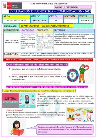 EVALUACION DIAGNOSTICA -1ERO Y 2DO GRADO_COMUNICACION.pdf