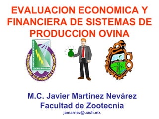 EVALUACION ECONOMICA Y FINANCIERA DE SISTEMAS DE PRODUCCION OVINA M.C. Javier Martínez Nevárez Facultad de Zootecnia [email_address] 