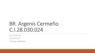 BR. Argenis Cermeño
C.I.28.030.024
SECCION M1
GRUPO Nº2
TURNO MAÑANA
 