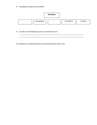 Pruebas de diagnòstico