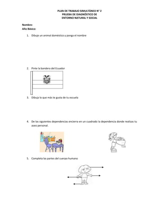 Pruebas de diagnòstico