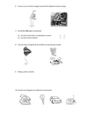 Pruebas de diagnòstico