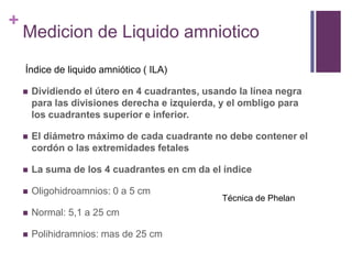 Phelan Normal Evaluacion fetal | PPTX