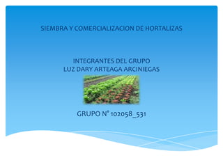 SIEMBRA Y COMERCIALIZACION DE HORTALIZAS

INTEGRANTES DEL GRUPO
LUZ DARY ARTEAGA ARCINIEGAS

GRUPO N° 102058_531

 