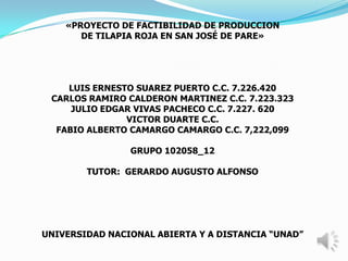 «PROYECTO DE FACTIBILIDAD DE PRODUCCION
       DE TILAPIA ROJA EN SAN JOSÉ DE PARE»




    LUIS ERNESTO SUAREZ PUERTO C.C. 7.226.420
 CARLOS RAMIRO CALDERON MARTINEZ C.C. 7.223.323
     JULIO EDGAR VIVAS PACHECO C.C. 7.227. 620
               VICTOR DUARTE C.C.
  FABIO ALBERTO CAMARGO CAMARGO C.C. 7,222,099

                GRUPO 102058_12

        TUTOR: GERARDO AUGUSTO ALFONSO




UNIVERSIDAD NACIONAL ABIERTA Y A DISTANCIA “UNAD”
 