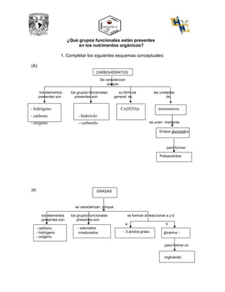 se unen
(A)
¿Qué grupos funcionales están presentes
en los nutrimentos orgánicos?
1. Completar los siguientes esquemas conceptuales:
CARBOHIDRATOS
Se caracterizan
porque
los elementos los grupos funcionales su fórmula las unidades
presentes son presentes son general es de
- hidrógeno Cx(H2O)x monómeros
- carbono - hidróxilo
- oxígeno - carbonilo se unen mediante
Enlace glucosidico
para formar
Polisacáridos
(B) GRASAS
se caracterizan porque
los elementos los grupos funcionales se forman al reaccionar a y b
presentes son presentes son
a b
- carbono - saturados
- hidrógeno -insaturados - 3 ácidos graso glicerina -
- oxígeno
triglicérido
para formar un
 