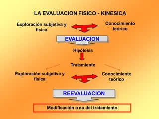 LA EVALUACION FISICO - KINESICA

Exploración subjetiva y                   Conocimiento
        física                               teórico

                          EVALUACION

                            Hipótesis


                           Tratamiento
Exploración subjetiva y                  Conocimiento
        física                              teórico


                      REEVALUACION

              Modificación o no del tratamiento
 