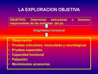 LA EXPLORACION OBJETIVA

    OBJETIVO:    Determinar estructuras    o   factores
    responsables de los síntomas del px.

                  Diagnóstico funcional


•    Observación
•    Pruebas articulares, musculares y neurológicas
•    Pruebas especiales
•    Capacidad funcional
•    Palpación
•    Movimientos accesorios
 