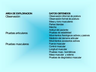 AREA DE EXPLORACION   DA TOS OBTENIDOS
Observación           Observación informal de postura
                      Observación formal de postura
                      Masa y tono musculares
                      Partes blandas
                      Marcha
                      Actitud del paciente
Pruebas articulares   Pruebas de estabilidad
                      Movimientos fisiológicos activos y pasivos
                      Medición del derrame articular
                      Movimientos accesorios activos
Pruebas musculares    Fuerza muscular
                      Control muscular
                      Longitud muscular
                      Pruebas musc. Isométricas
                      Masa muscular y edema
                      Pruebas de diagnóstico muscular
 