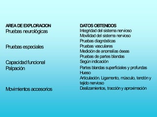 AREA DE EXPLORACION      DATOS OBTENIDOS
Pruebas neurológicas     Integridad del sistema nervioso
                         Movilidad del sistema nervioso
                         Pruebas diagnósticas
Pruebas especiales       Pruebas vasculares
                         Medición de anomalías óseas
                         Pruebas de partes blandas
Capacidad funcional      Según indicación
Palpación                Partes blandas superficiales y profundas
                         Hueso
                         Articulación. Ligamento, músculo, tendón y
                         tejido nervioso
Movimientos accesorios   Deslizamientos, tracción y aproximación
 