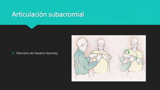 Evaluaci n Del Miembro Superior MMSS Reumato Ppt PPTX Evaluaci n Del Miembro Superior MMSS Reumato Ppt PPTX