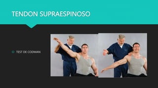 Tendonitis Codman Evaluación del miembro superior MMSS reumato ppt | PPTX