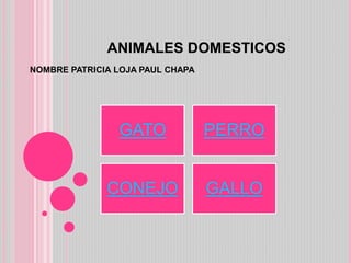 ANIMALES DOMESTICOS
NOMBRE PATRICIA LOJA PAUL CHAPA
GATO PERRO
CONEJO GALLO
 