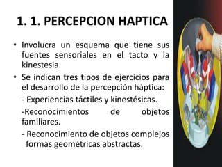 1. 1. PERCEPCION HAPTICA
• Involucra un esquema que tiene sus
  fuentes sensoriales en el tacto y la
  kinestesia.
• Se in...