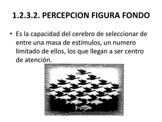 1.2.3.2. PERCEPCION FIGURA FONDO
• Es la capacidad del cerebro de seleccionar de
  entre una masa de estímulos, un numero
...