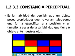 1.2.3.3.CONSTANCIA PERCEPTUAL
• Es la habilidad de percibir que un objeto
  posee propiedades que no varían, tales como
  ...