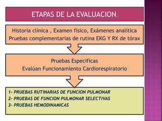 1- PRUEBAS RUTINARIAS DE FUNCION PULMONAR
2- PRUEBAS DE FUNCION PULMONAR SELECTIVAS
3- PRUEBAS HEMODINAMICAS
Pruebas Especificas
Evalúan Funcionamiento Cardiorespiratorio
Historia clínica , Examen físico, Exámenes analítica
Pruebas complementarias de rutina EKG Y RX de tórax
ETAPAS DE LA EVALUACION.
 
