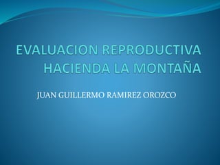 JUAN GUILLERMO RAMIREZ OROZCO
 