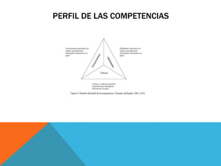 PERFIL DE LAS COMPETENCIAS
 