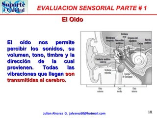 18
EVALUACION SENSORIAL PARTE # 1
Julian Alvarez G. jalvarez60@hotmail.com
El OidoEl Oido
El oído nos permiteEl oído nos p...