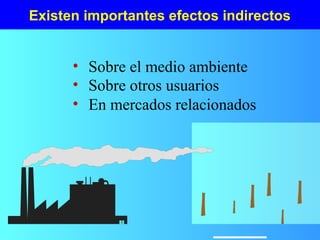 Existen importantes efectos indirectos
• Sobre el medio ambiente
• Sobre otros usuarios
• En mercados relacionados
 