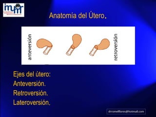 evaluacion-ultrasonografica-del-utero-pdf