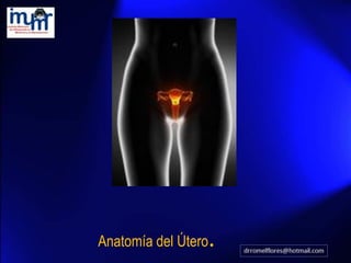 Evaluacion ultrasonografica del utero