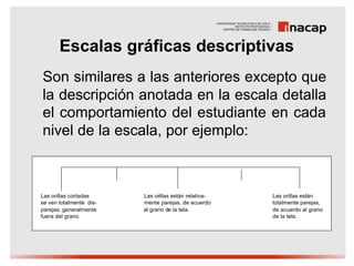 Escalas gráficas descriptivas
Son similares a las anteriores excepto que
la descripción anotada en la escala detalla
el comportamiento del estudiante en cada
nivel de la escala, por ejemplo:



Las orillas cortadas     Las orillas están relativa-   Las orillas están
se ven totalmente dis-   mente parejas, de acuerdo     totalmente parejas,
parejas; generalmente    al grano de la tela.          de acuerdo al grano
fuera del grano                                        de la tela.
 