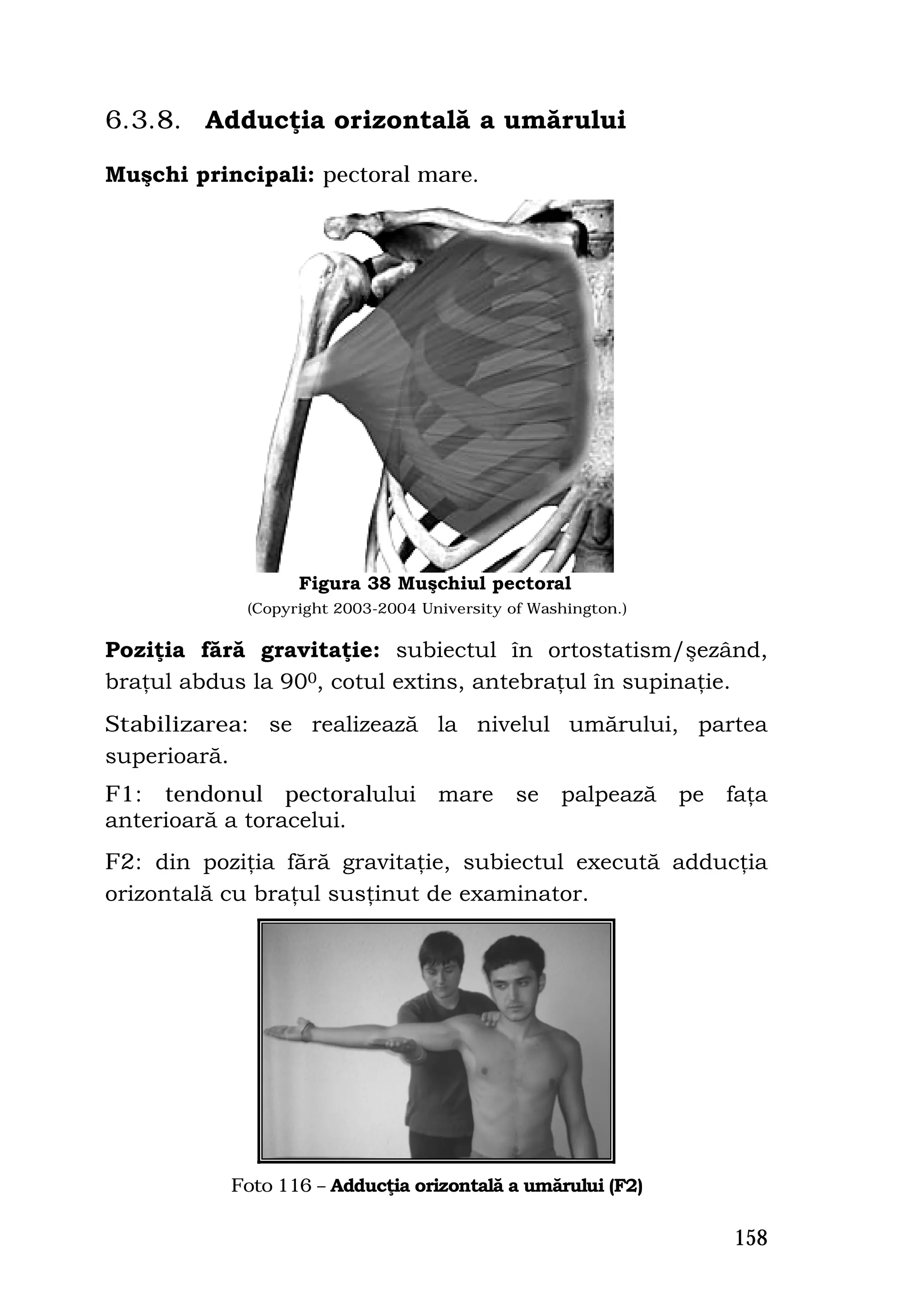 6.3.8. Adducţia orizontală a umărului

Muşchi principali: pectoral mare.




                  Figura 38 Muşchiul pectoral
            (Copyright 2003-2004 University of Washington.)

Poziţia fără gravitaţie: subiectul în ortostatism/şezând,
braţul abdus la 900, cotul extins, antebraţul în supinaţie.
Stabilizarea: se realizează la nivelul umărului, partea
superioară.
F1: tendonul pectoralului          mare      se palpează      pe faţa
anterioară a toracelui.
F2: din poziţia fără gravitaţie, subiectul execută adducţia
orizontală cu braţul susţinut de examinator.




           Foto 116 – Adducţia orizontală a umărului (F2)

                                                                  158
 