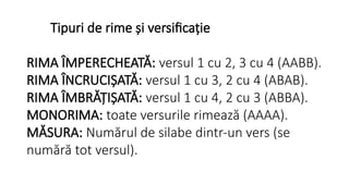 Versul Si Rima Evaluare nationala clasa a 8 a - carduri ajutatoare.pptx
