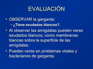 EVALUACIÓN
• OBSERVAR la garganta:
– ¿Tiene exudados blancos?.
• Al observar las amígdalas pueden verse
exudados blancos, como membranas
blancas sobre la superficie de las
amígdalas.
• Pueden verse en problemas virales y
bacterianos de garganta.
 