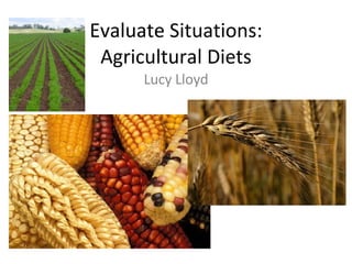 Evaluate Situations: Agricultural Diets Lucy Lloyd 
