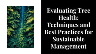 Tree Health Analysis Evaluating-tree-health-techniques-and-best-practices-for-sustainable ...