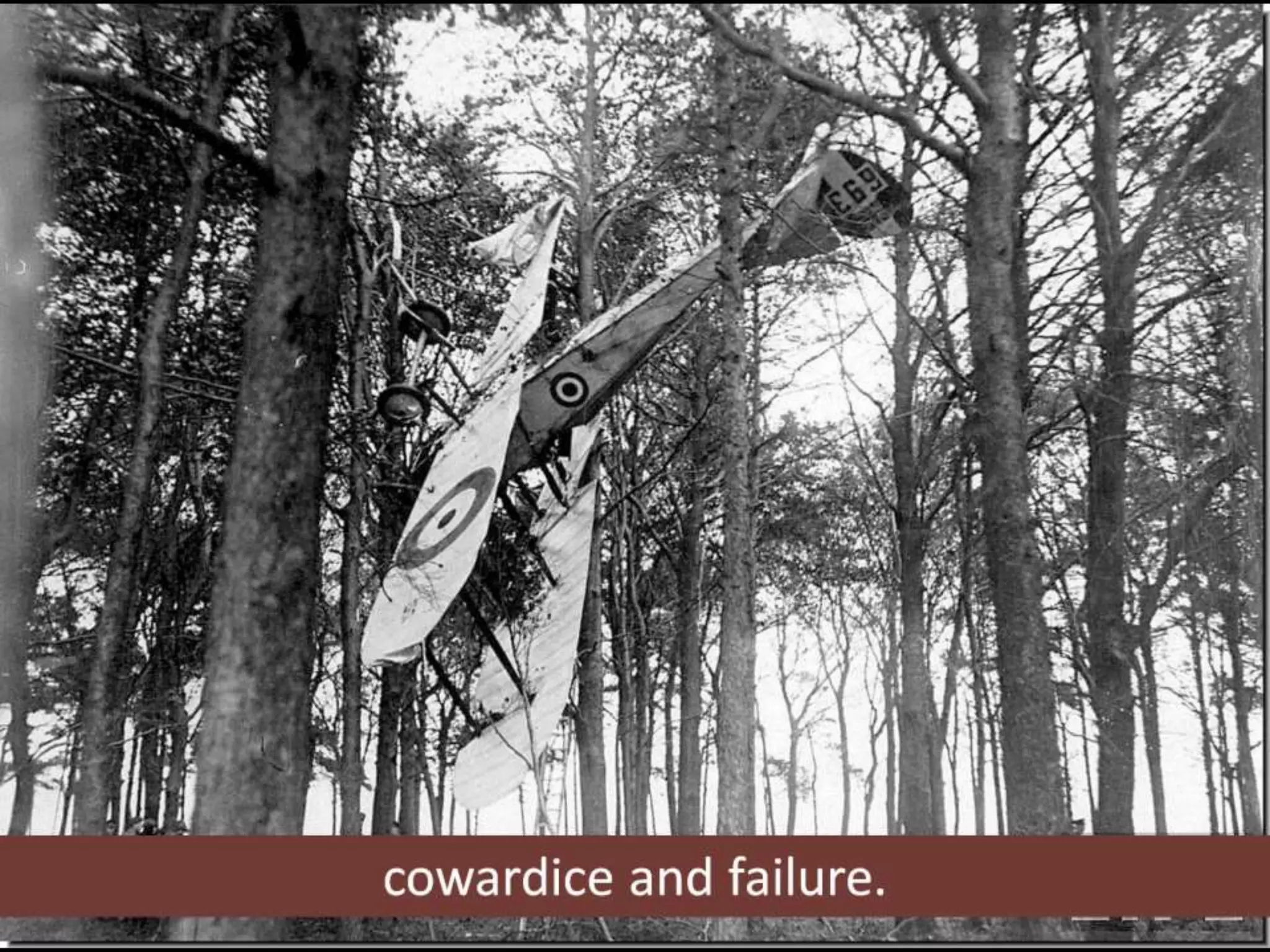cowardice and failure.
 