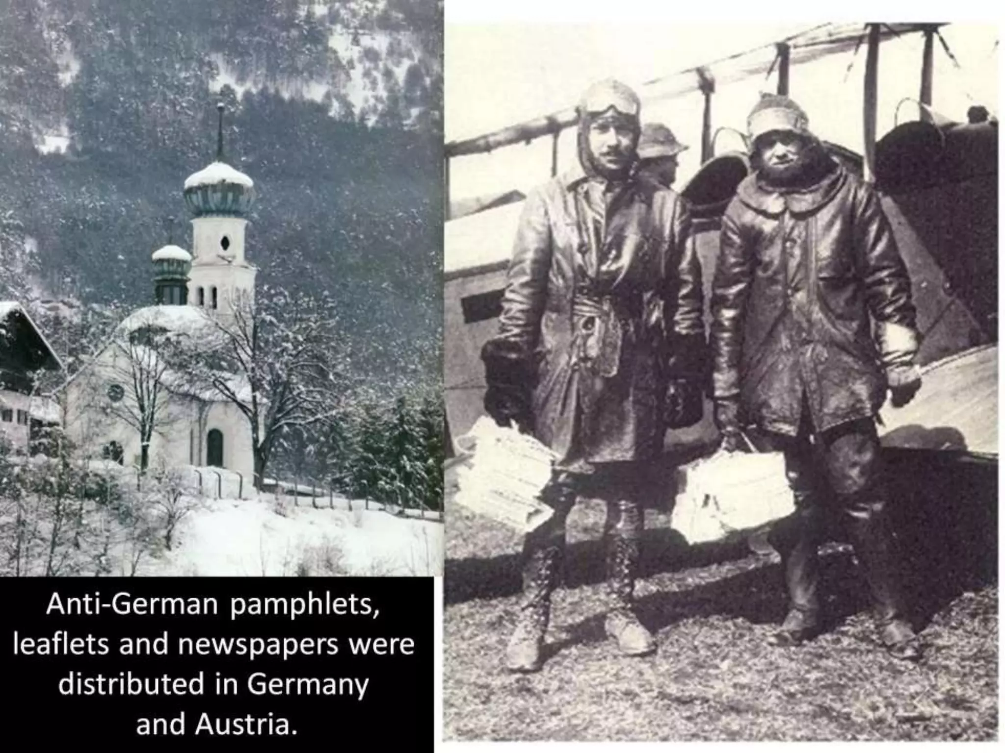 Anti-German pamphlets,
leaflets and newspapers were
distributed in Germany
and Austria.
 