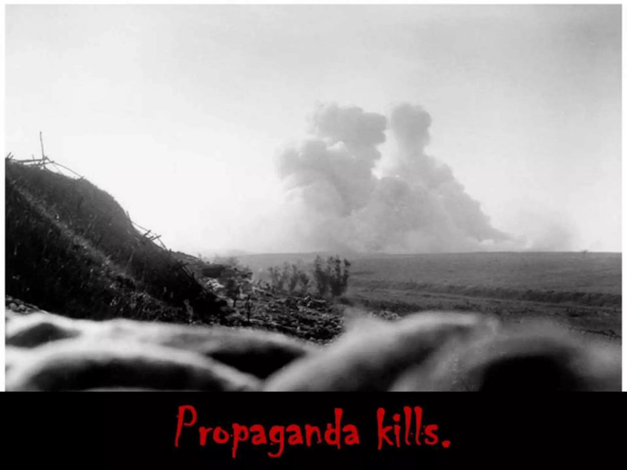 Propaganda kills.
 