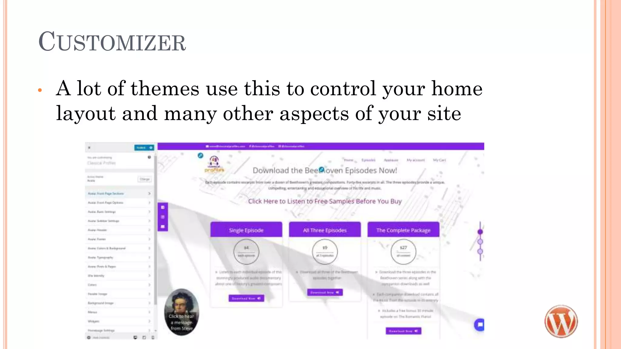 CUSTOMIZER
• A lot of themes use this to control your home
layout and many other aspects of your site
 