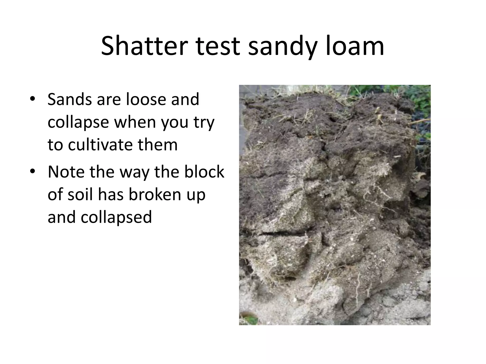 Shatter test sandy loam
• Sands are loose and
  collapse when you try
  to cultivate them
• Note the way the block
  of soil has broken up
  and collapsed
 