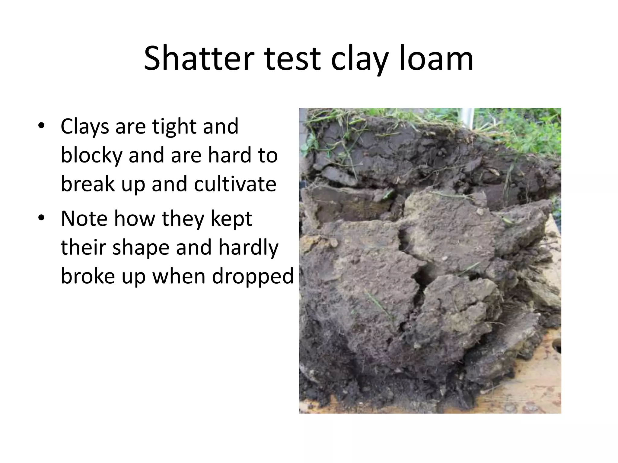 Shatter test clay loam
• Clays are tight and
  blocky and are hard to
  break up and cultivate
• Note how they kept
  their shape and hardly
  broke up when dropped
 