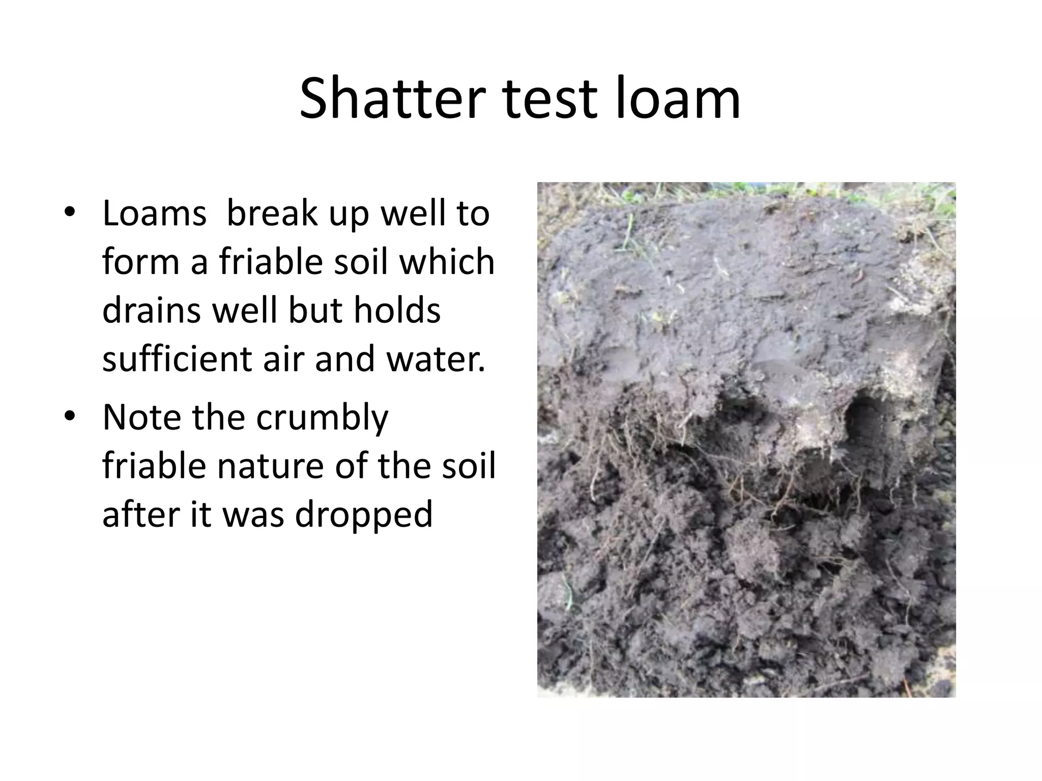 Shatter test loam
• Loams break up well to
  form a friable soil which
  drains well but holds
  sufficient air and water.
• Note the crumbly
  friable nature of the soil
  after it was dropped
 