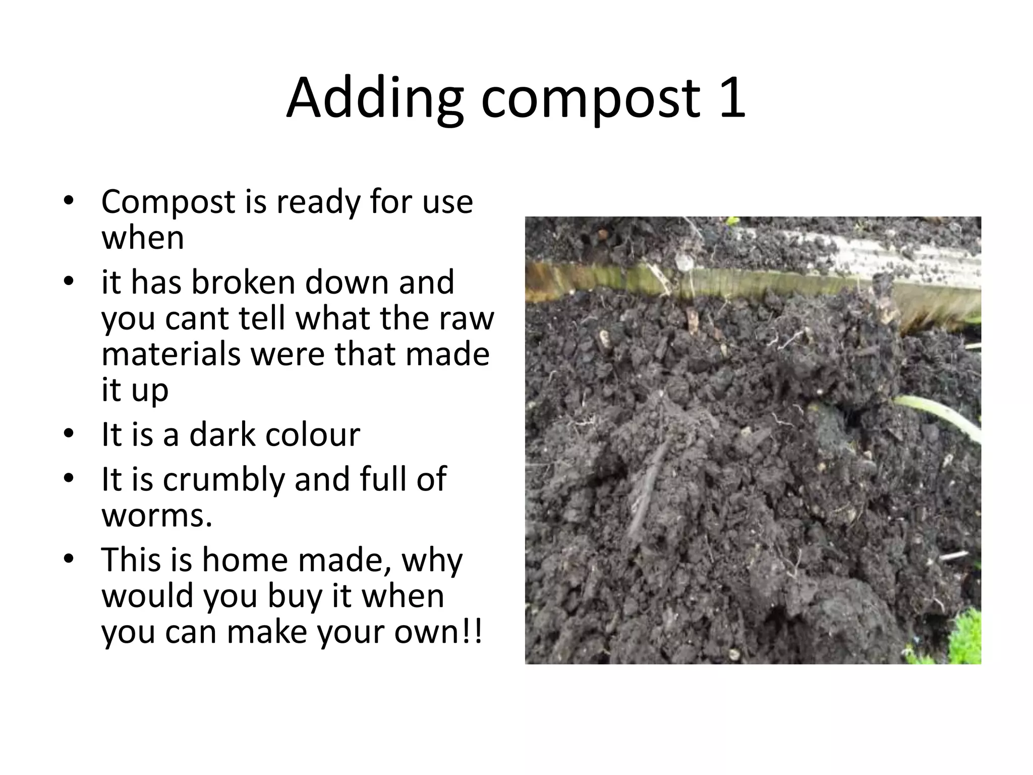 Adding compost 1
• Compost is ready for use
  when
• it has broken down and
  you cant tell what the raw
  materials were that made
  it up
• It is a dark colour
• It is crumbly and full of
  worms.
• This is home made, why
  would you buy it when
  you can make your own!!
 