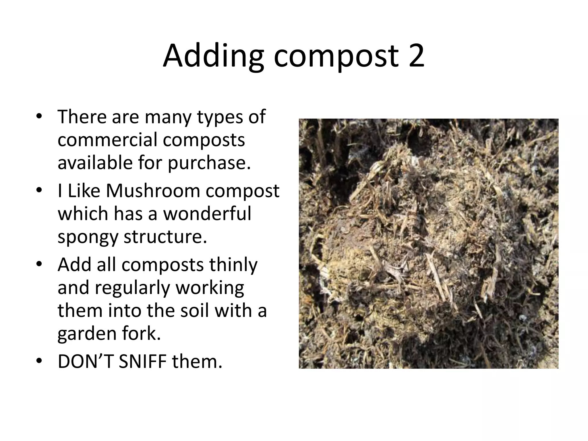 Adding compost 2
• There are many types of
  commercial composts
  available for purchase.
• I Like Mushroom compost
  which has a wonderful
  spongy structure.
• Add all composts thinly
  and regularly working
  them into the soil with a
  garden fork.
• DON’T SNIFF them.
 