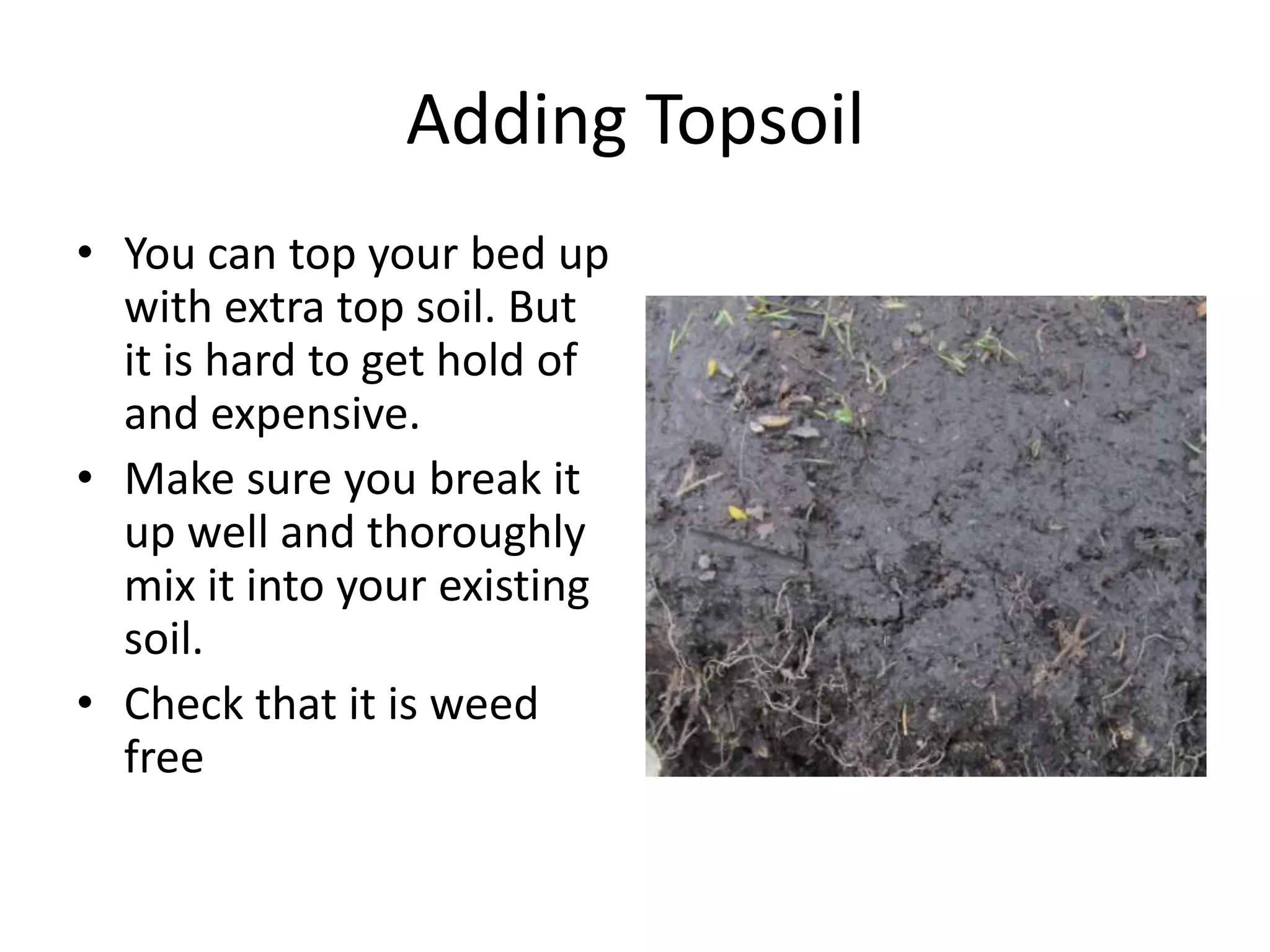 Adding Topsoil
• You can top your bed up
  with extra top soil. But
  it is hard to get hold of
  and expensive.
• Make sure you break it
  up well and thoroughly
  mix it into your existing
  soil.
• Check that it is weed
  free
 