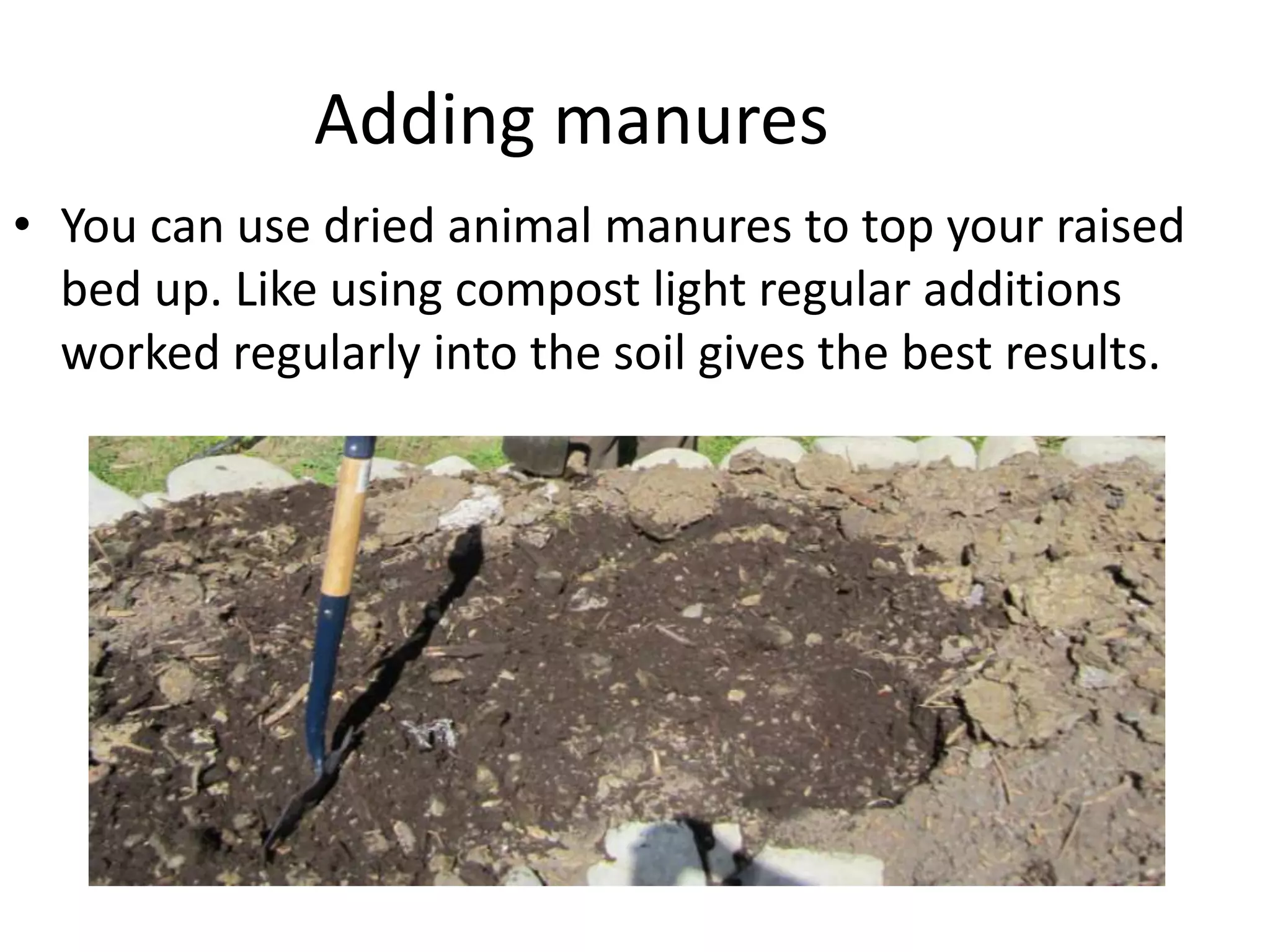 Adding manures
• You can use dried animal manures to top your raised
  bed up. Like using compost light regular additions
  worked regularly into the soil gives the best results.
 