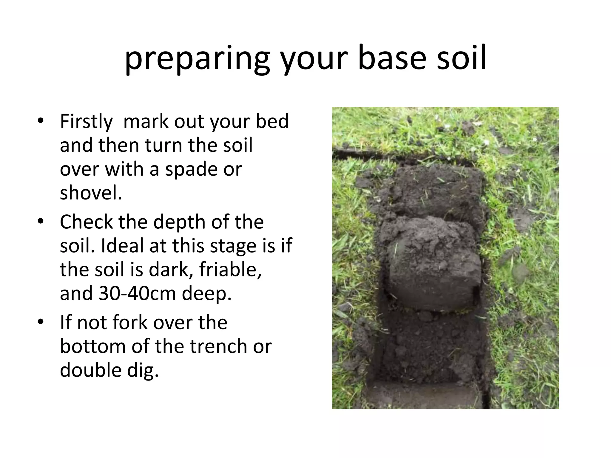 preparing your base soil
• Firstly mark out your bed
  and then turn the soil
  over with a spade or
  shovel.
• Check the depth of the
  soil. Ideal at this stage is if
  the soil is dark, friable,
  and 30-40cm deep.
• If not fork over the
  bottom of the trench or
  double dig.
 
