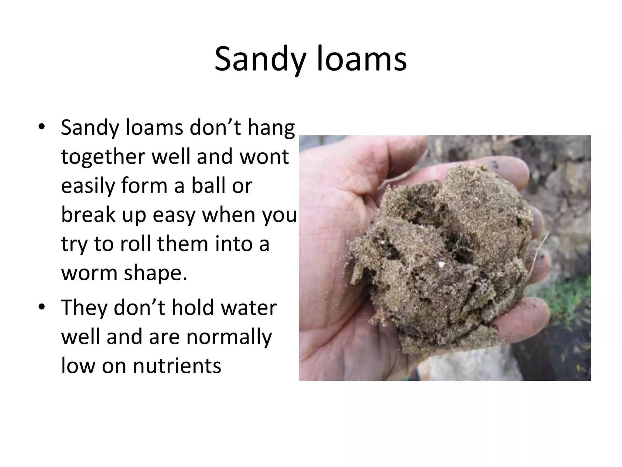 Sandy loams
• Sandy loams don’t hang
  together well and wont
  easily form a ball or
  break up easy when you
  try to roll them into a
  worm shape.
• They don’t hold water
  well and are normally
  low on nutrients
 