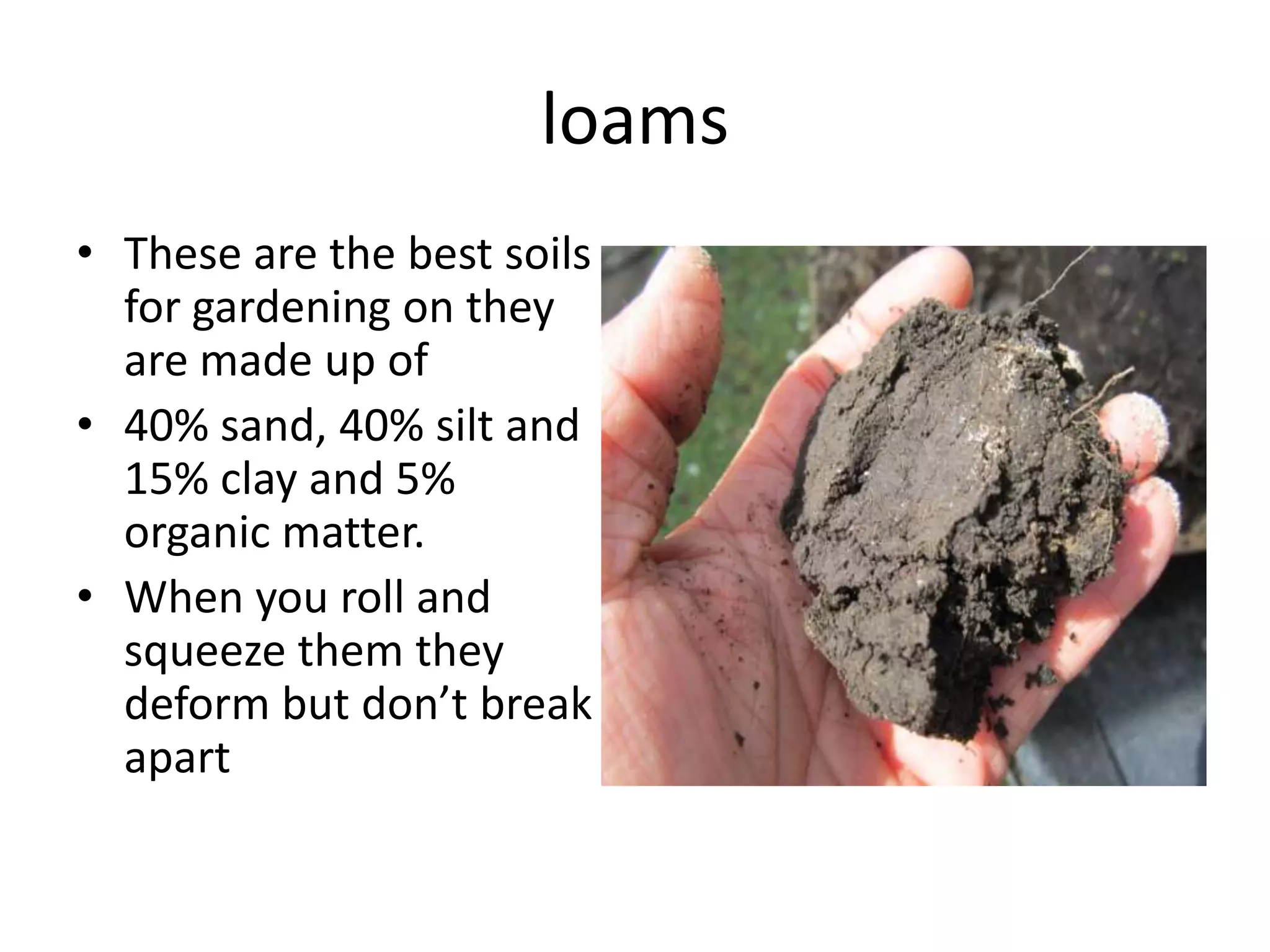 loams
• These are the best soils
  for gardening on they
  are made up of
• 40% sand, 40% silt and
  15% clay and 5%
  organic matter.
• When you roll and
  squeeze them they
  deform but don’t break
  apart
 