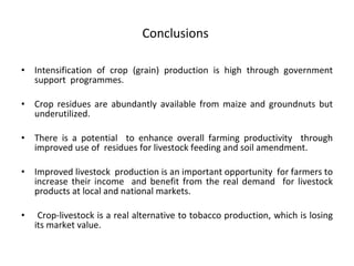 Evaluating use of crop residues for sustainable livestock production in Mzimba district, Malawi