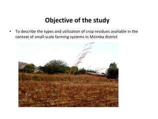 Evaluating use of crop residues for sustainable livestock production in Mzimba district, Malawi